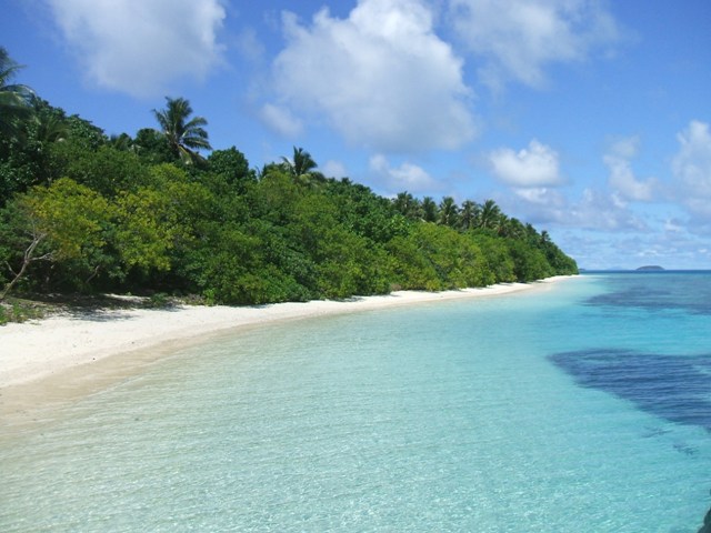 "A Paradox In Paradise" ~ by Robert Bryce