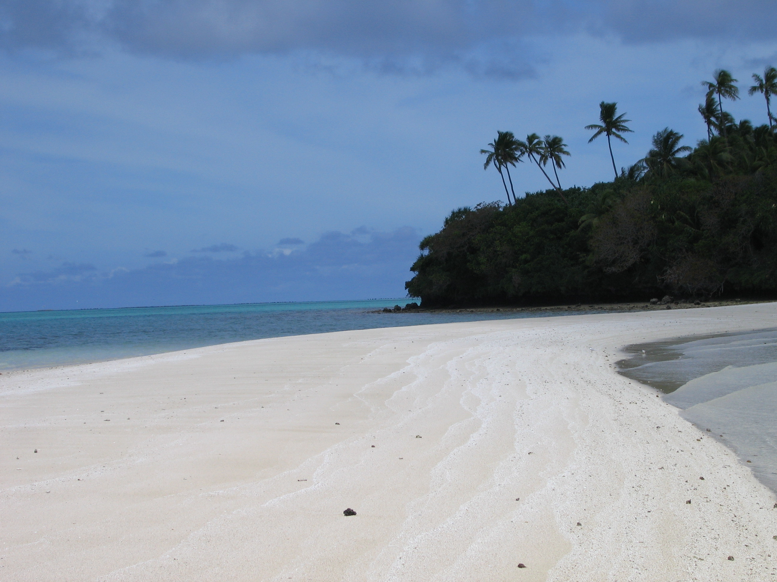 Tonga? Wear-The-Fox-Hat? by Robert Bryce
