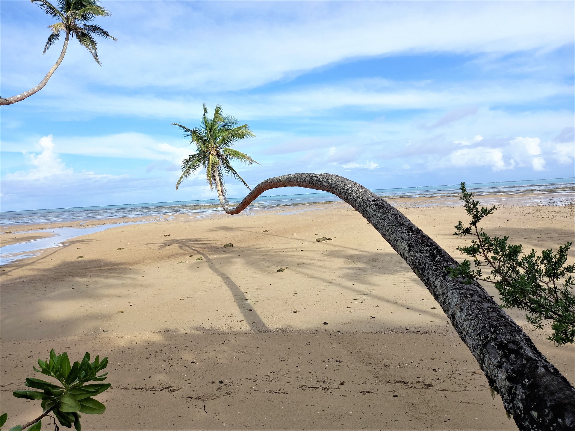 BEACH HOUSE UNDER $50,000 USD—NO SUCH THING?