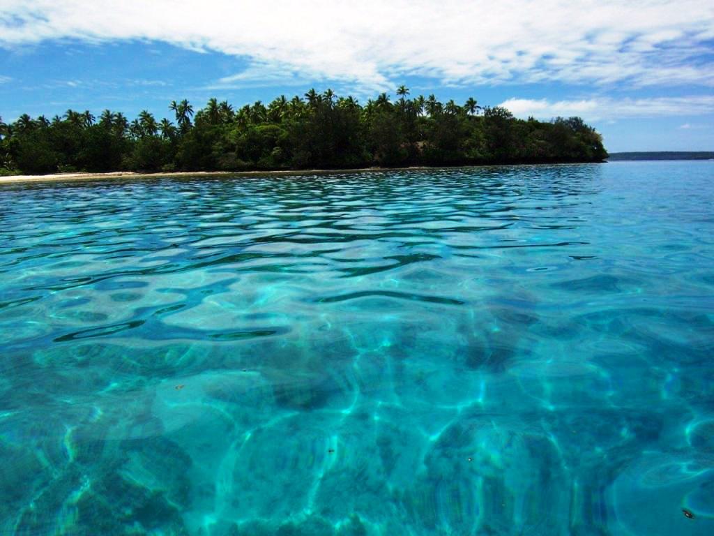 You Need to Know Before Buying a One - Way Ticket to Tonga