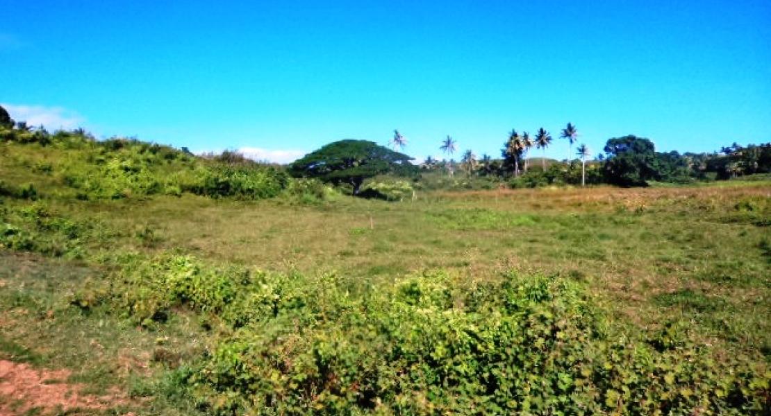 17 Freehold acres, Vanua Levu, Fiji