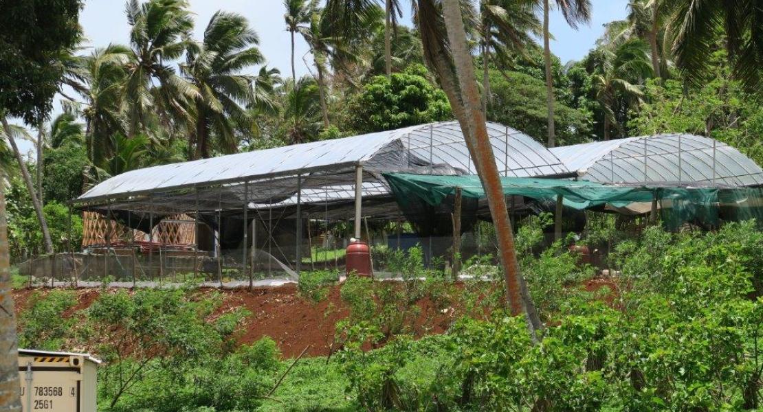 Vavau Villa Business for sale in Vavau Island Group, Tonga, South Pacific