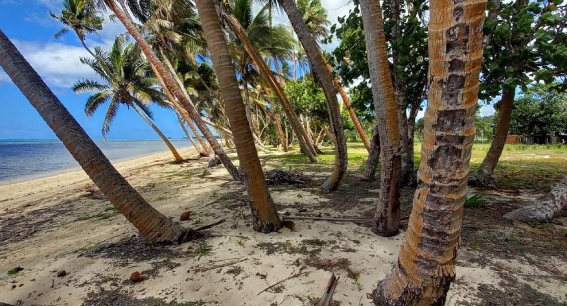 Beachfront Lots for sale Savusavu, Vanua Levu, Fiji