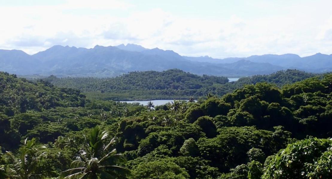 Freehold Land for Sale in Fiji