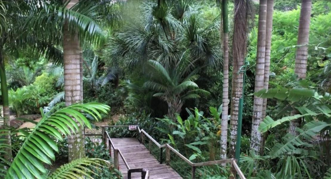 Flora Tropical Botanical Gardens, Savusavu, Fiji Islands