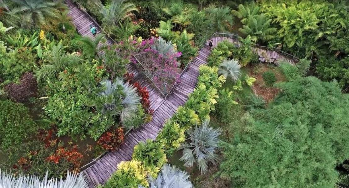 Flora Tropical Botanical Gardens, Savusavu, Fiji Islands
