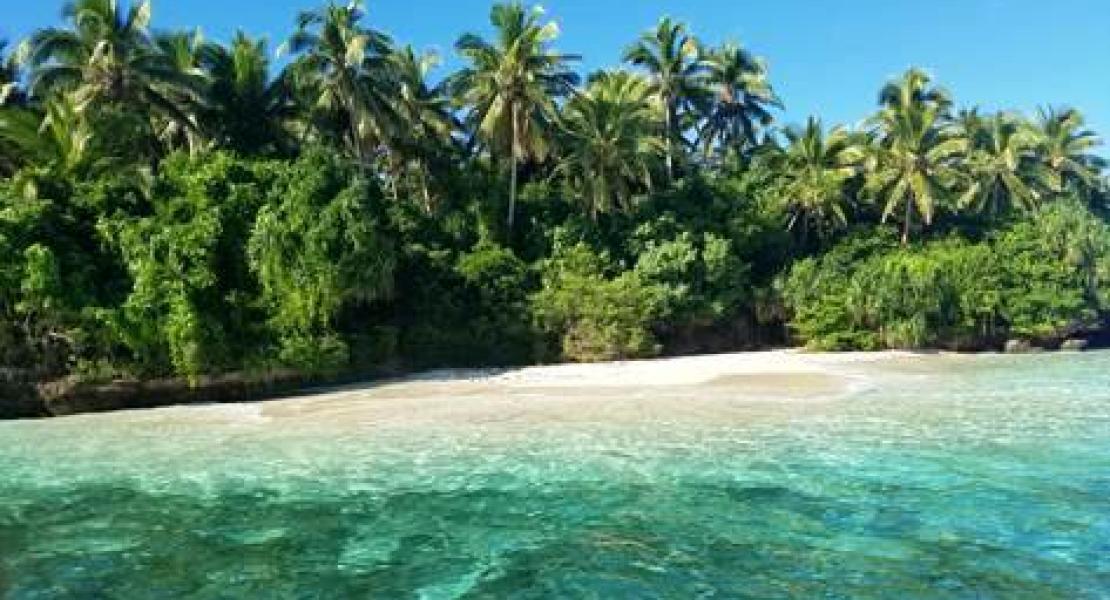 Island for sale in Vavau Island Group, Tonga