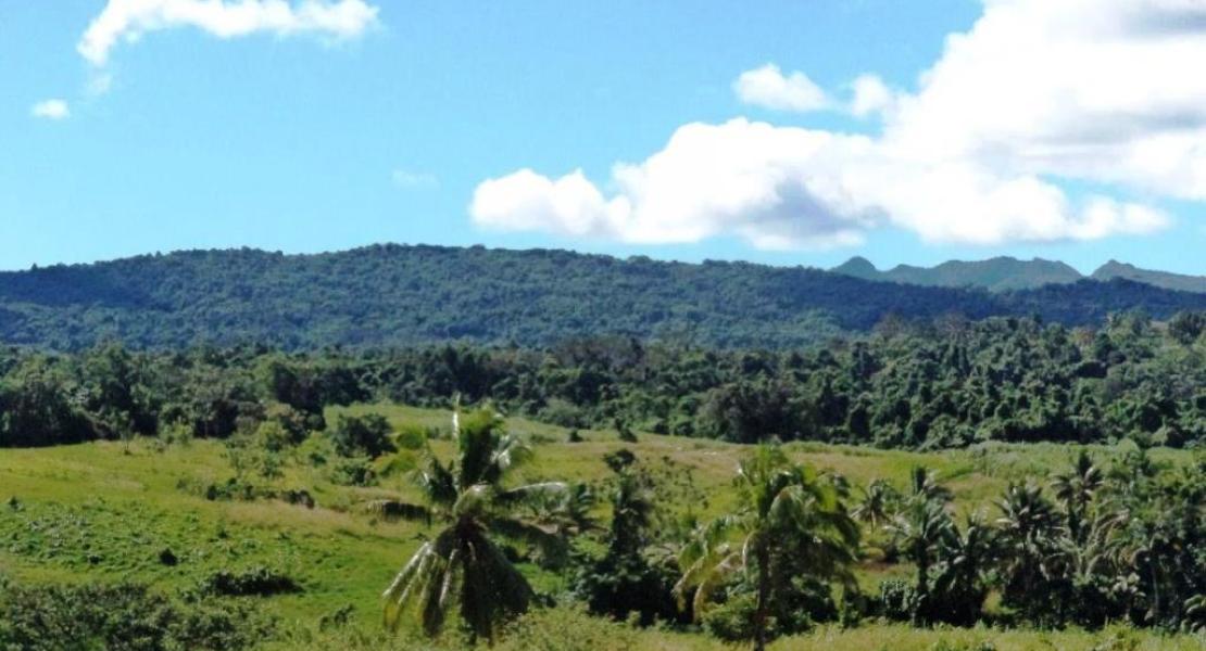 Navudi Seaqaqa property for sale, Vanua Levu, Fiji