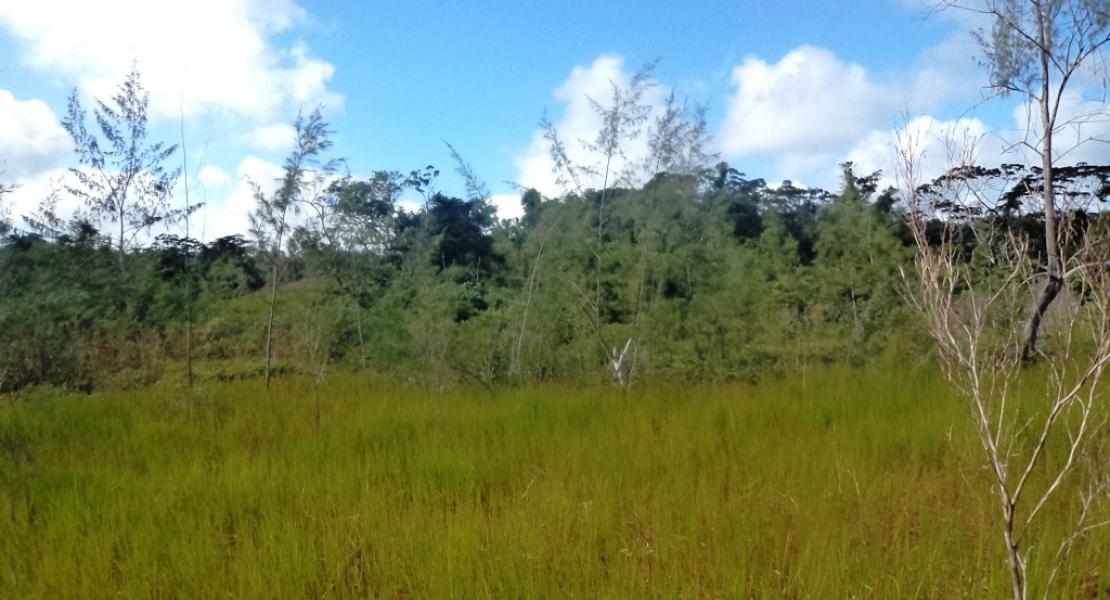 Freehold land for sale Navudi Seaqaqa, Vanua Levu, Fiji
