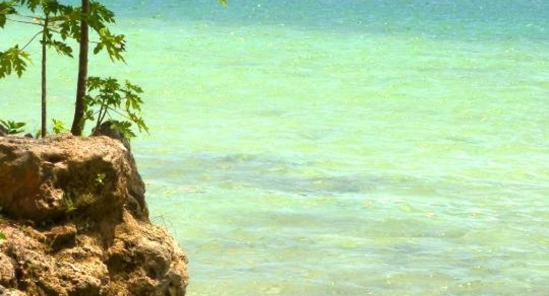 Land for sale in Vanuatu, South Pacific Real Estate