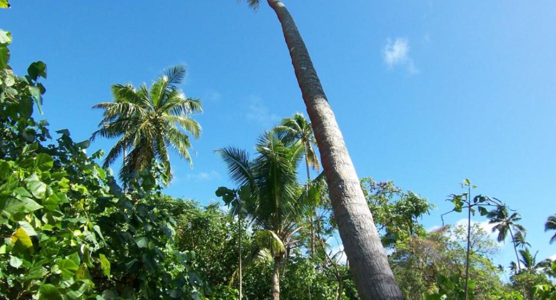 Waterfront property, Talihau, Vava'u Island Group, Tonga