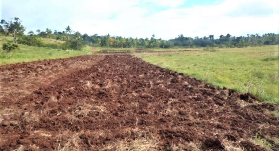 Agricultural freehold land for sale in Vanua Levu, Fiji islands