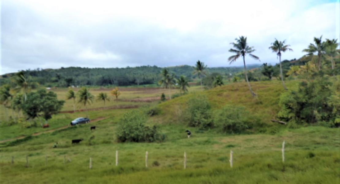 Agricultural freehold land for sale in Vanua Levu, Fiji islands