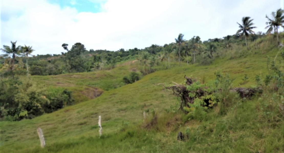 Agricultural freehold land for sale in Vanua Levu, Fiji islands