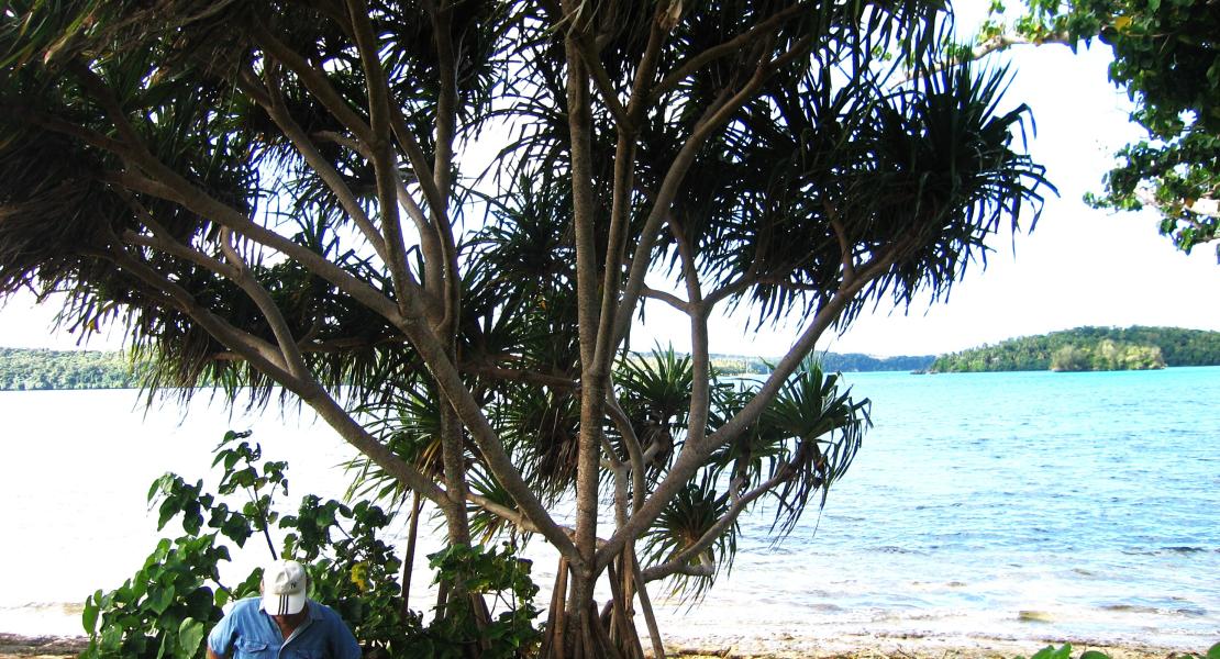 Beachfront property, Kapa island, Vavau, The Kingdom of Tonga