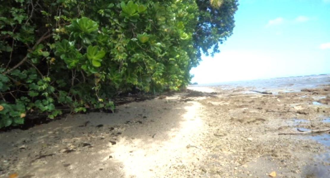 Waterfront Beachfront property for sale in Savusavu, Fiji