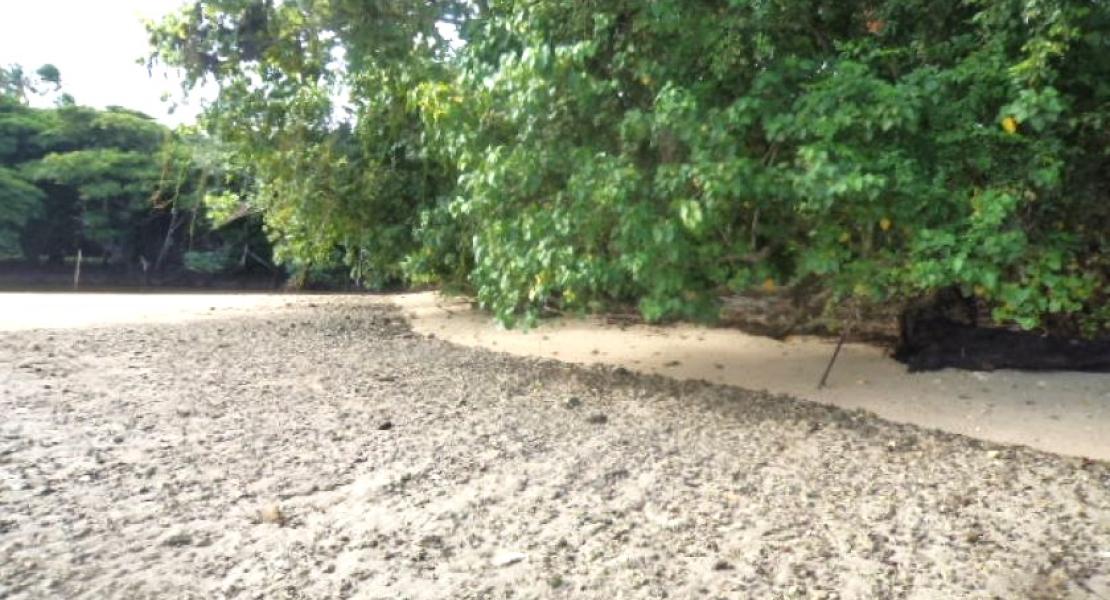 Waterfront Beachfront property for sale in Savusavu, Fiji