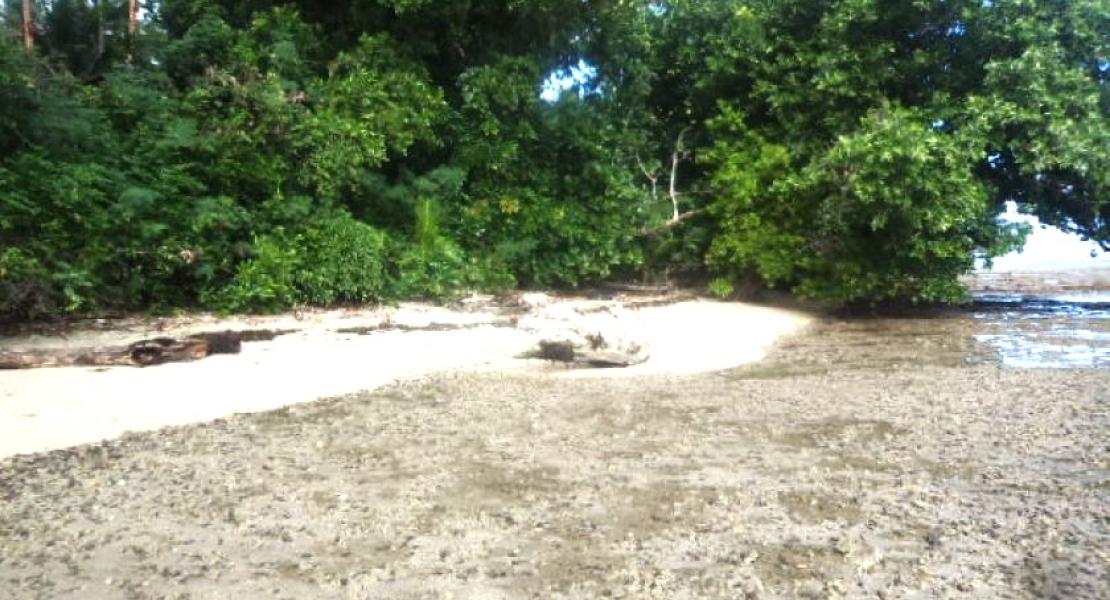 Waterfront Beachfront property for sale in Savusavu, Fiji