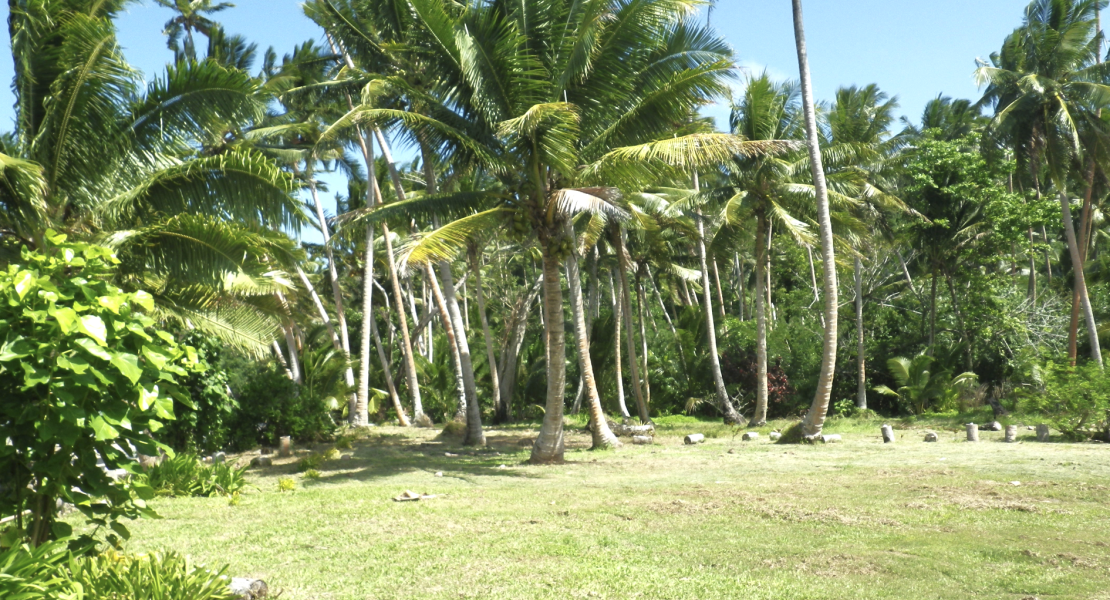 For Sale: Exceptional 150 Acre Freehold Development Opportunity on Vanua Levu’s Eastern Shores