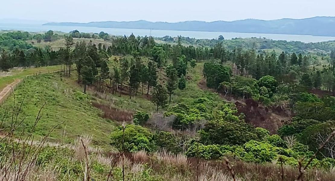 58.68 acres property located in Vunivau Bua Vanua Levu Fiji