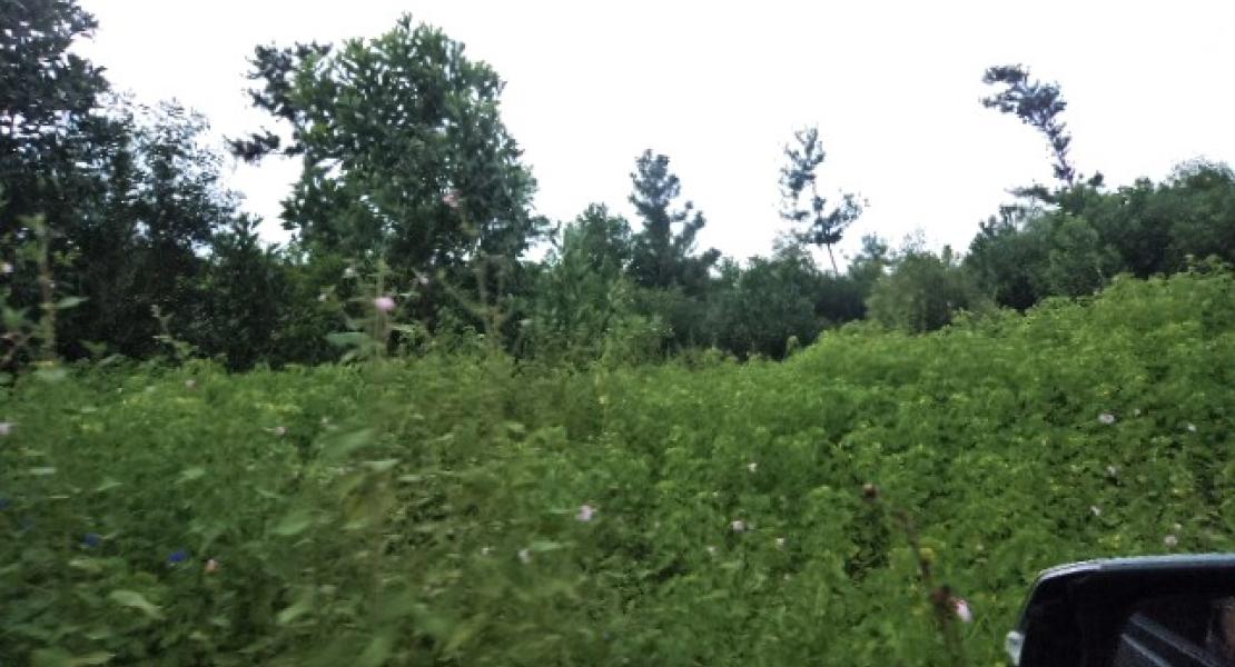 35 acre property located in Vunivau Bua, Vanua Levu, Fiji