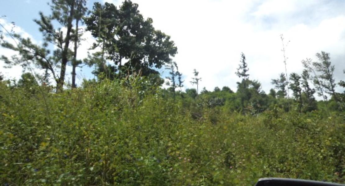 35 acre property located in Vunivau Bua, Vanua Levu, Fiji