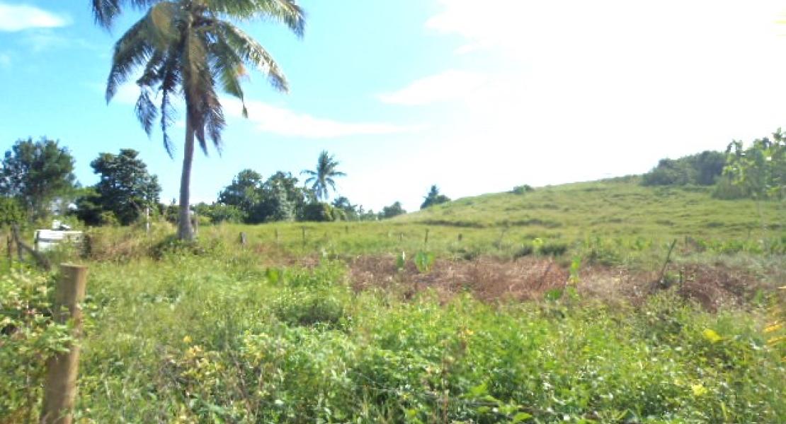 10 acre freehold with three bedroom house property located in Vunivau Bua, Vanua Levu, Fiji
