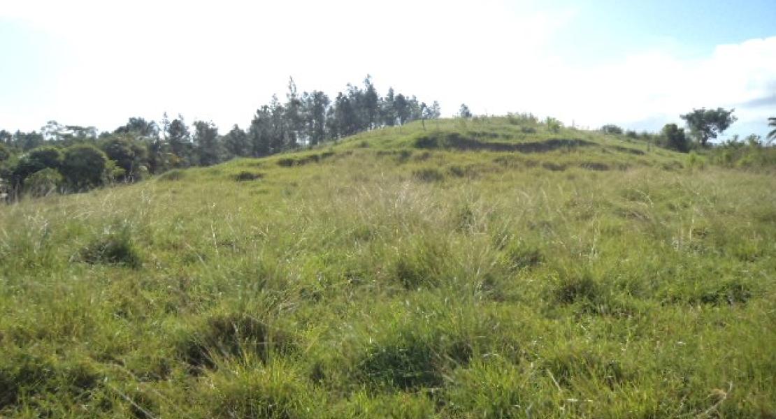 10 acre freehold with three bedroom house property located in Vunivau Bua, Vanua Levu, Fiji