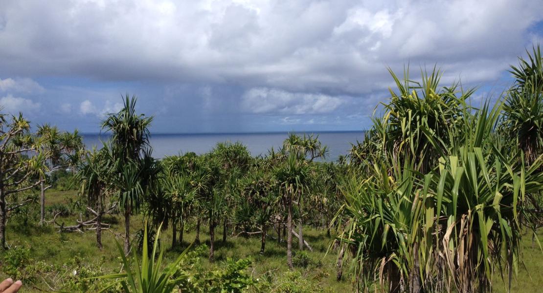 Olusung, North Palau Property is located on Palau’s main island of Babeldaob