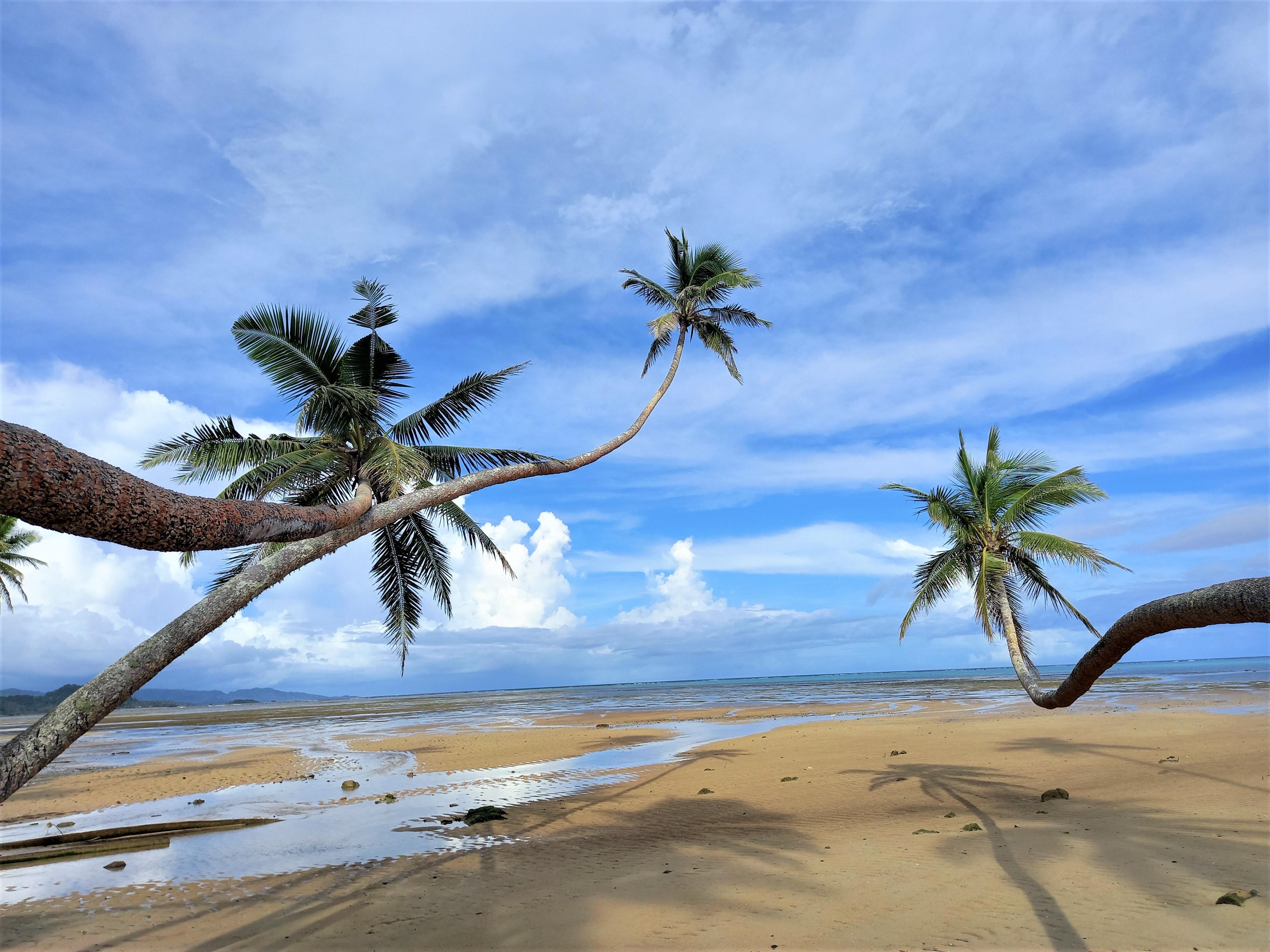 BEACH HOUSE UNDER $50,000 USD - NO SUCH THING?