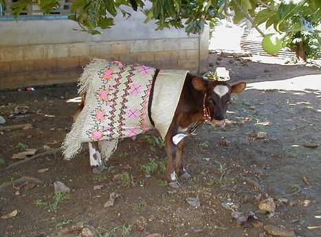 How to Tell When the Monopoly Game is Over, Robert Bryce