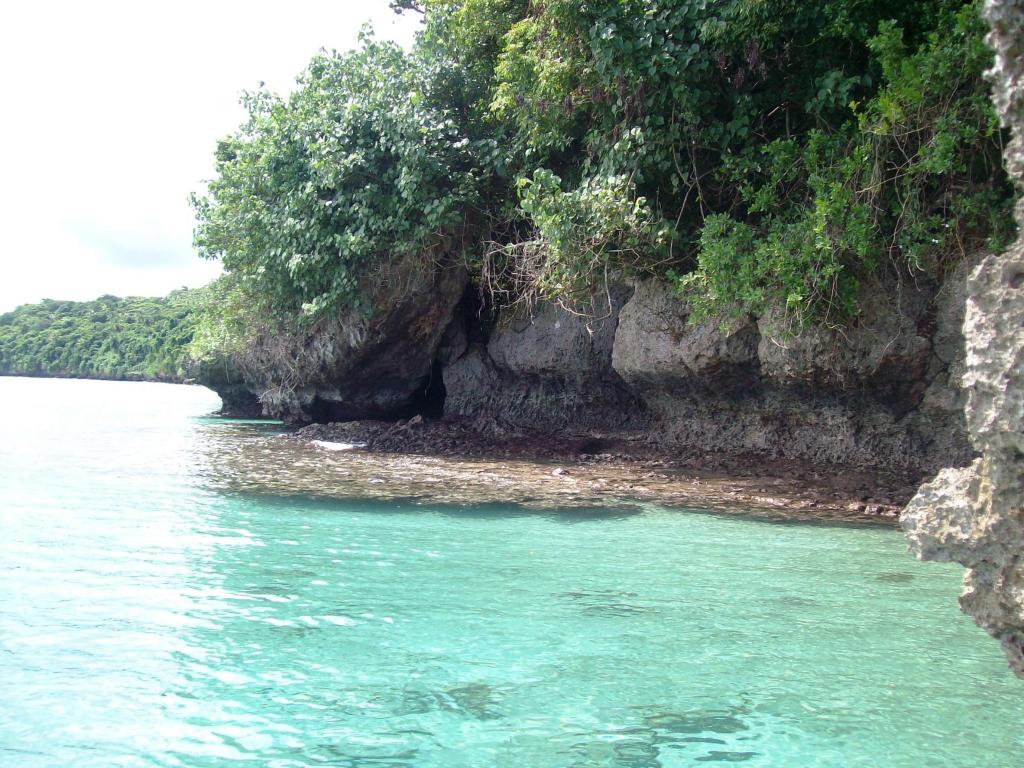 900 plus ft of waterfront with sea pool $39.9k US, Tonga ...