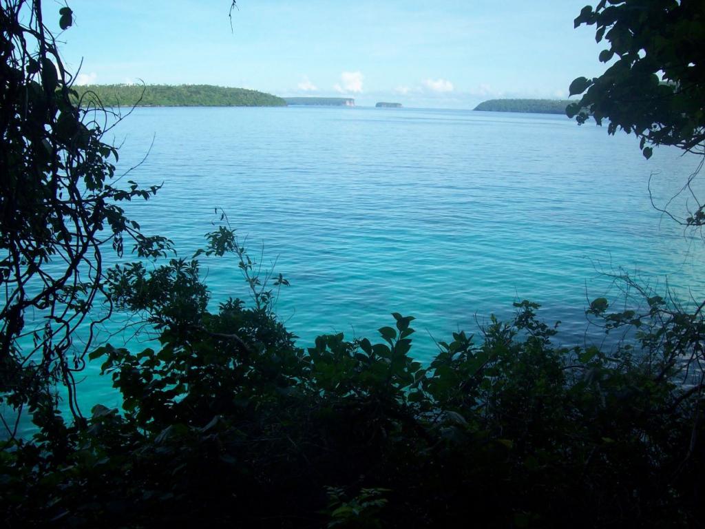 900 plus ft of waterfront with sea pool $39.9k US, Tonga ...